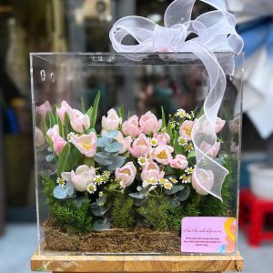 Hộp Hoa Tulip sang trọng