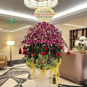 Chậu Lan Hồ Điệp 120 cây