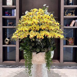 Chậu Lan Hồ Điệp 100 cành màu vàng