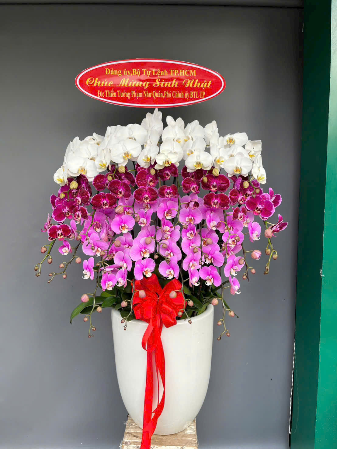 Chậu Lan Hồ Điệp 20 cành mix 3 màu