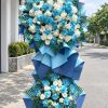 Kệ Hoa Khai Trương tông Xanh